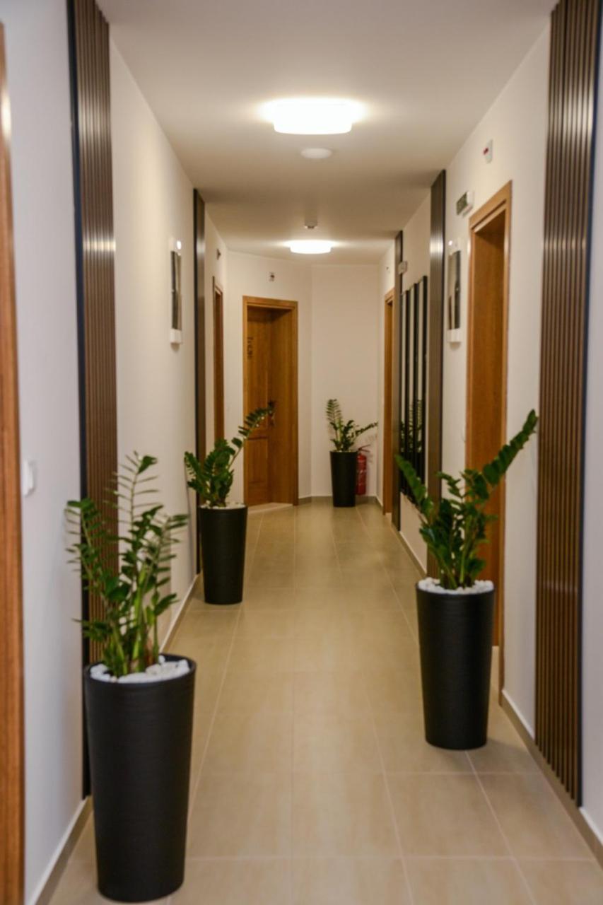 Mini Hotel Riverlux Apartments Backa Palanka Bagian luar foto
